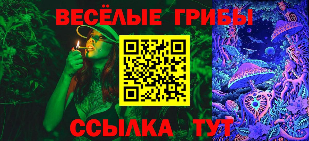Псилоцибиновые грибы прущие грибы Елизово